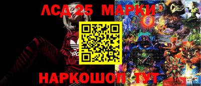 шишки Апшеронск