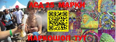 шишки Апшеронск