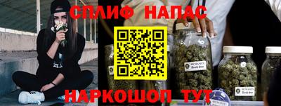 шишки Апшеронск