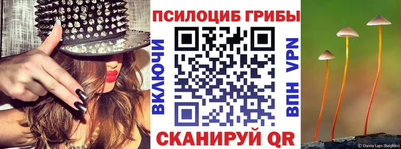 Псилоцибиновые грибы прущие грибы Воронеж