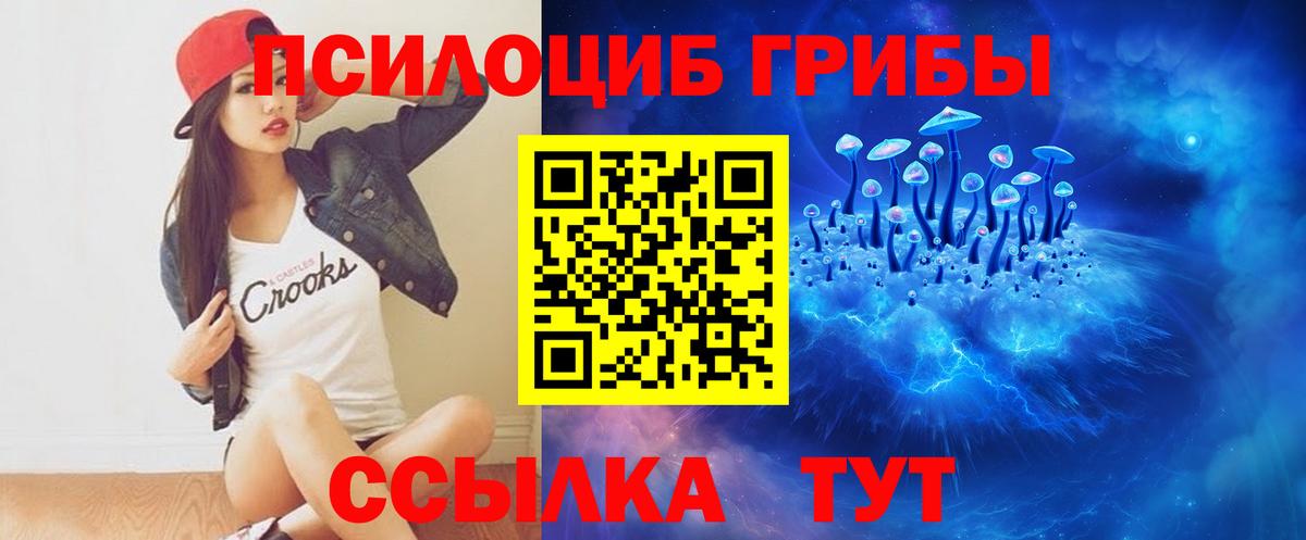 где можно купить   Воронеж  Псилоцибиновые грибы мицелий 