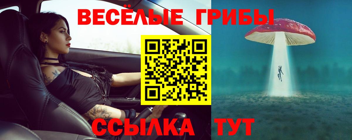 Воронеж  Псилоцибиновые грибы ЛСД  Галлюциногенные грибы мухоморы  Вход с VPN 