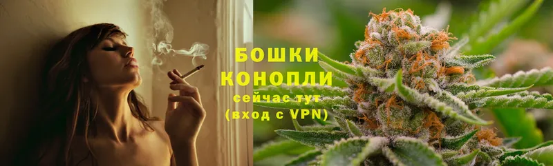 Бошки марихуана THC 21%  Воронеж 